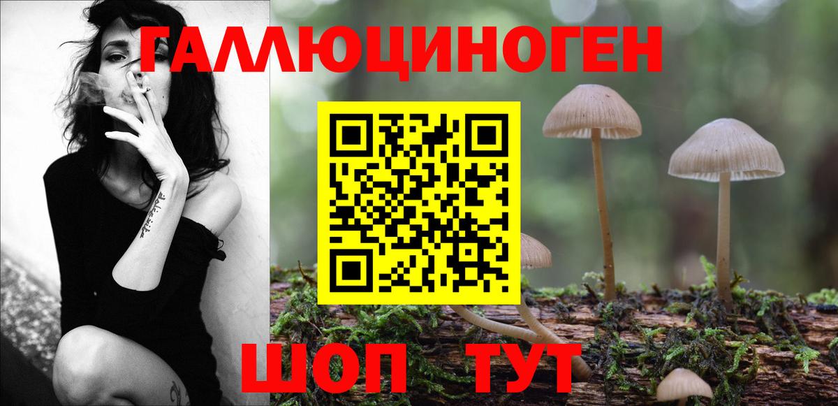 Псилоцибиновые грибы ЛСД Владивосток